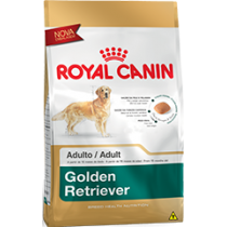 Golden Retriever Adulto Royal Canin - 12 kg